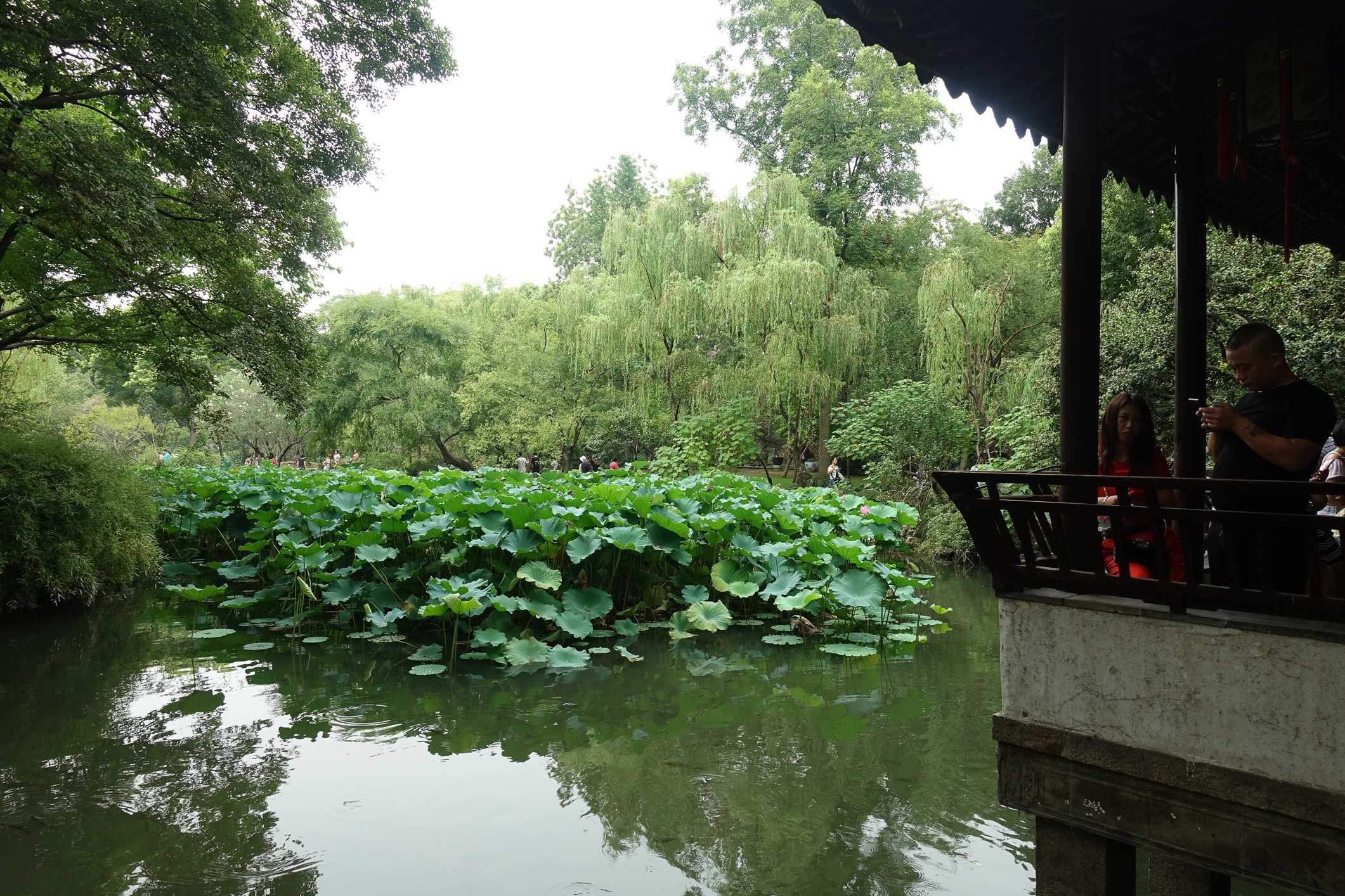 Gardens in Suzhou